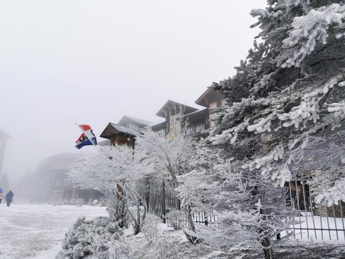 Gorgeous House For Ski Retreat Or Mountain Vacations Snowshoe Exterior foto